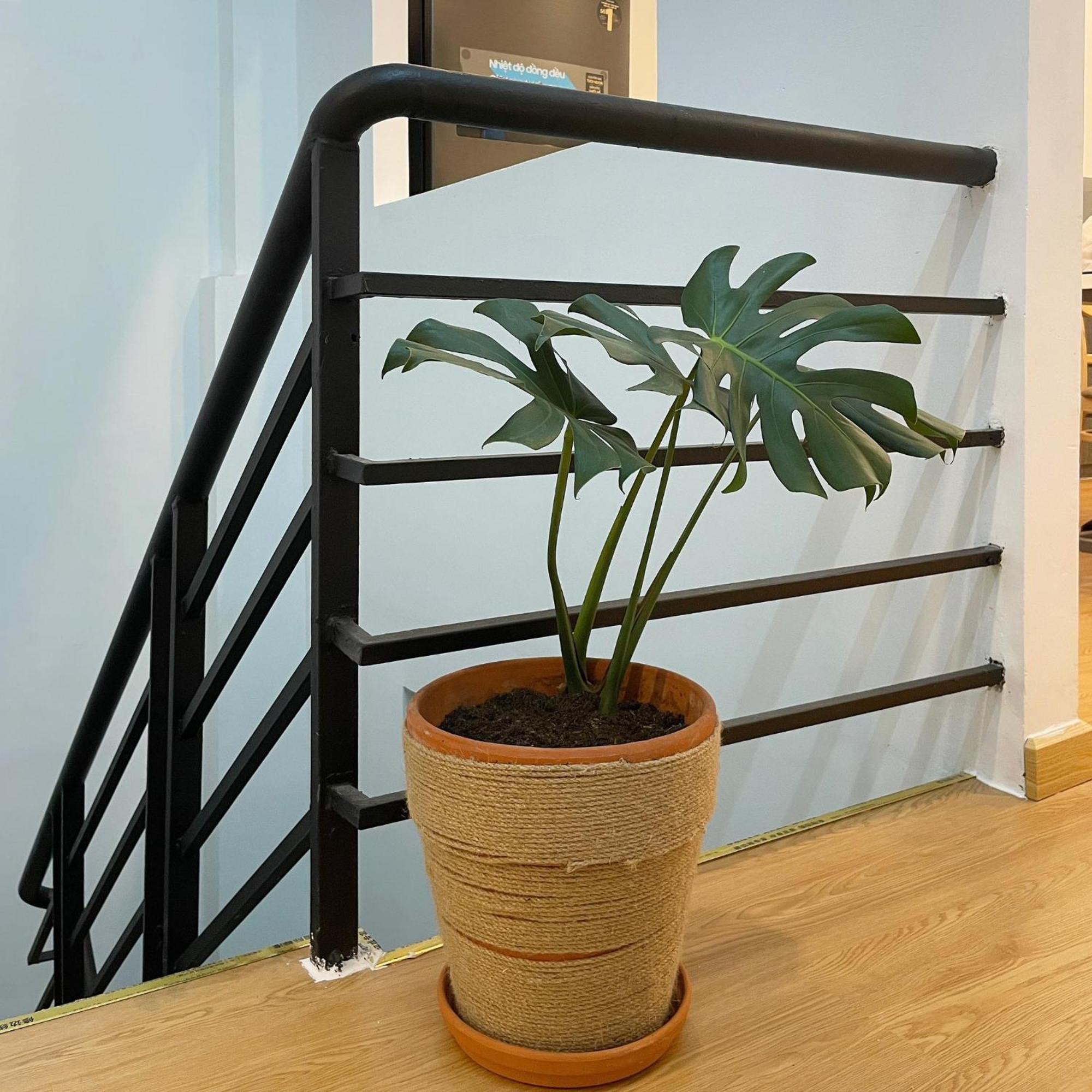 Alphabet Home Capsule โฮจิมินห์ซิตี้ ภายนอก รูปภาพ